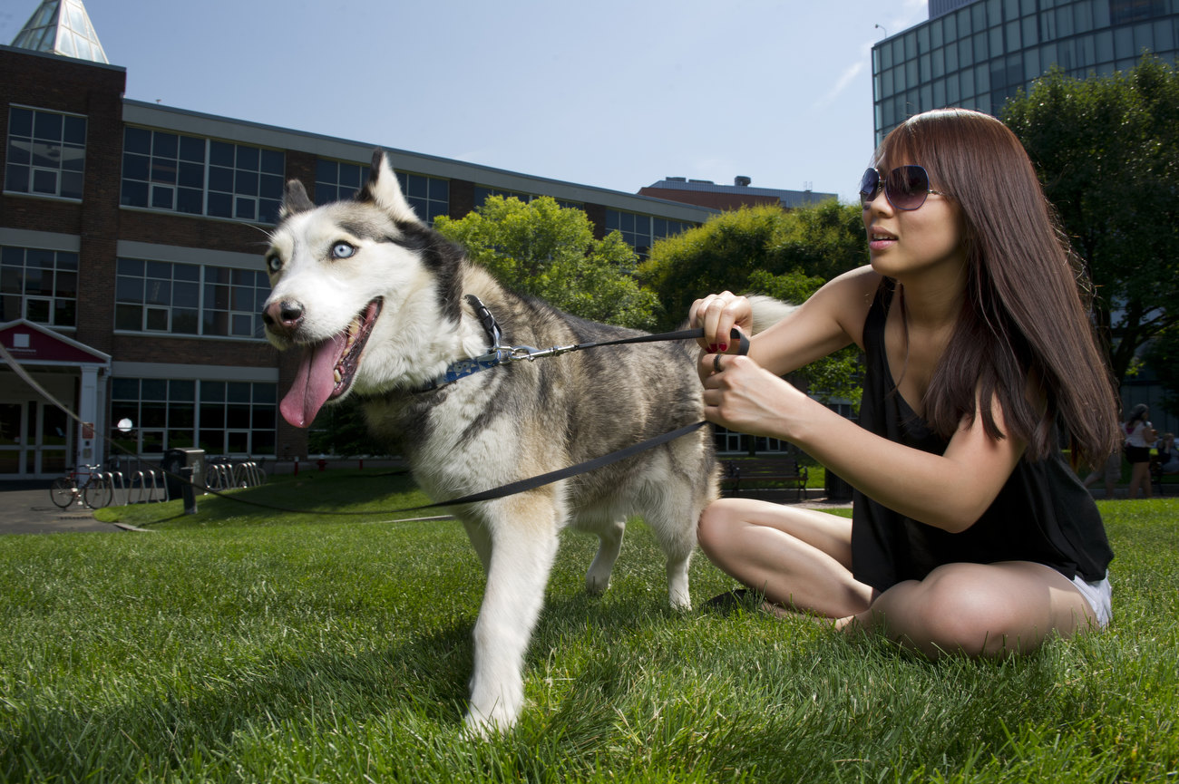 A female student sits in a grassy area on campus. She is sitting with a Husky dog which is on a leash.