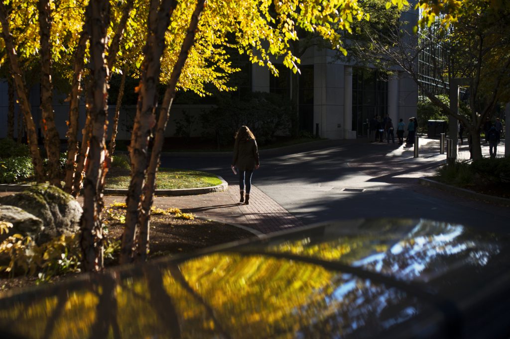 Student walking down a path toward an academic building