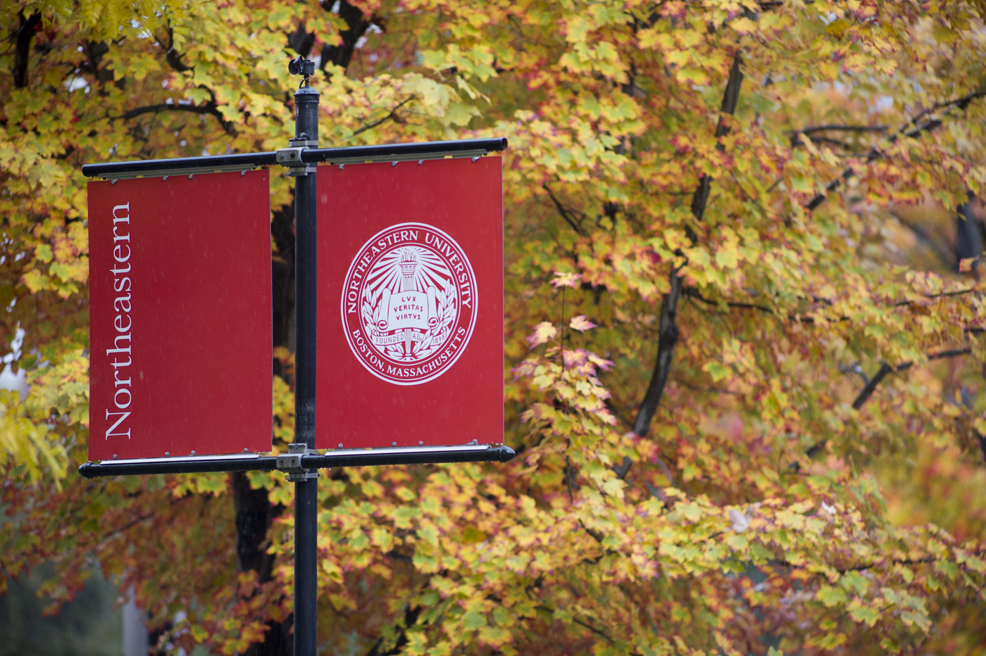 Image of Northeastern banners hanging off of a pole on a rainy fall day